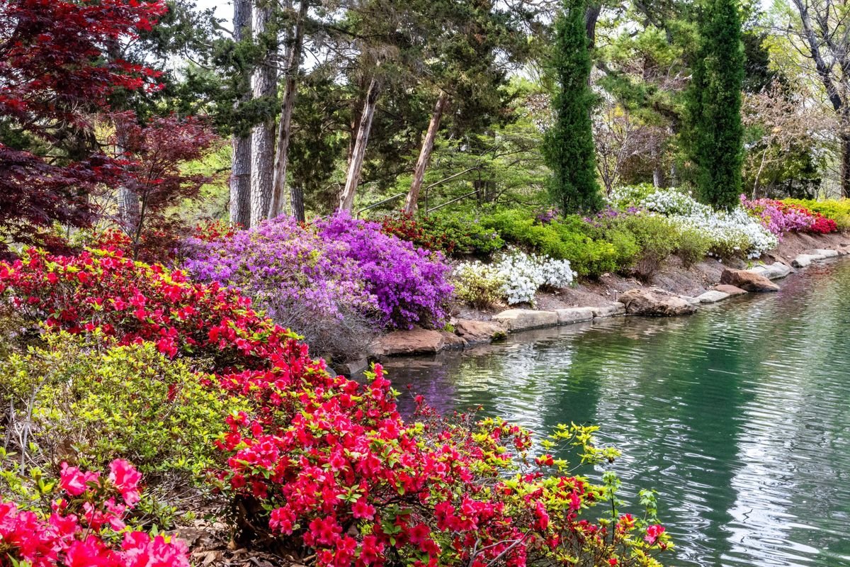 🌸 혼조 공원(혼조 성터) 이미지 8